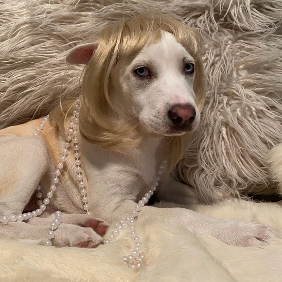 Thank you for shopping with me! Offers welcome! - Picture 9 of 16